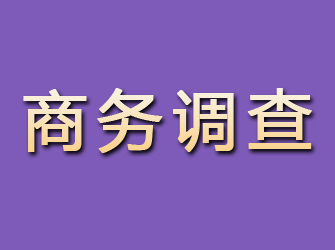 安义商务调查